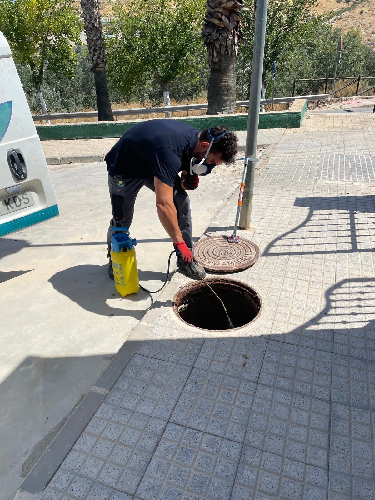 WhatsApp Image 2024-07-24 at 13.44.12