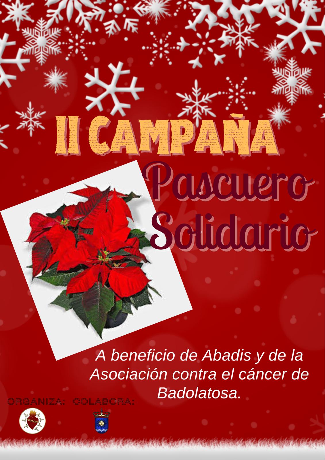 WhatsApp Image 2024-11-01 at 11.00.31