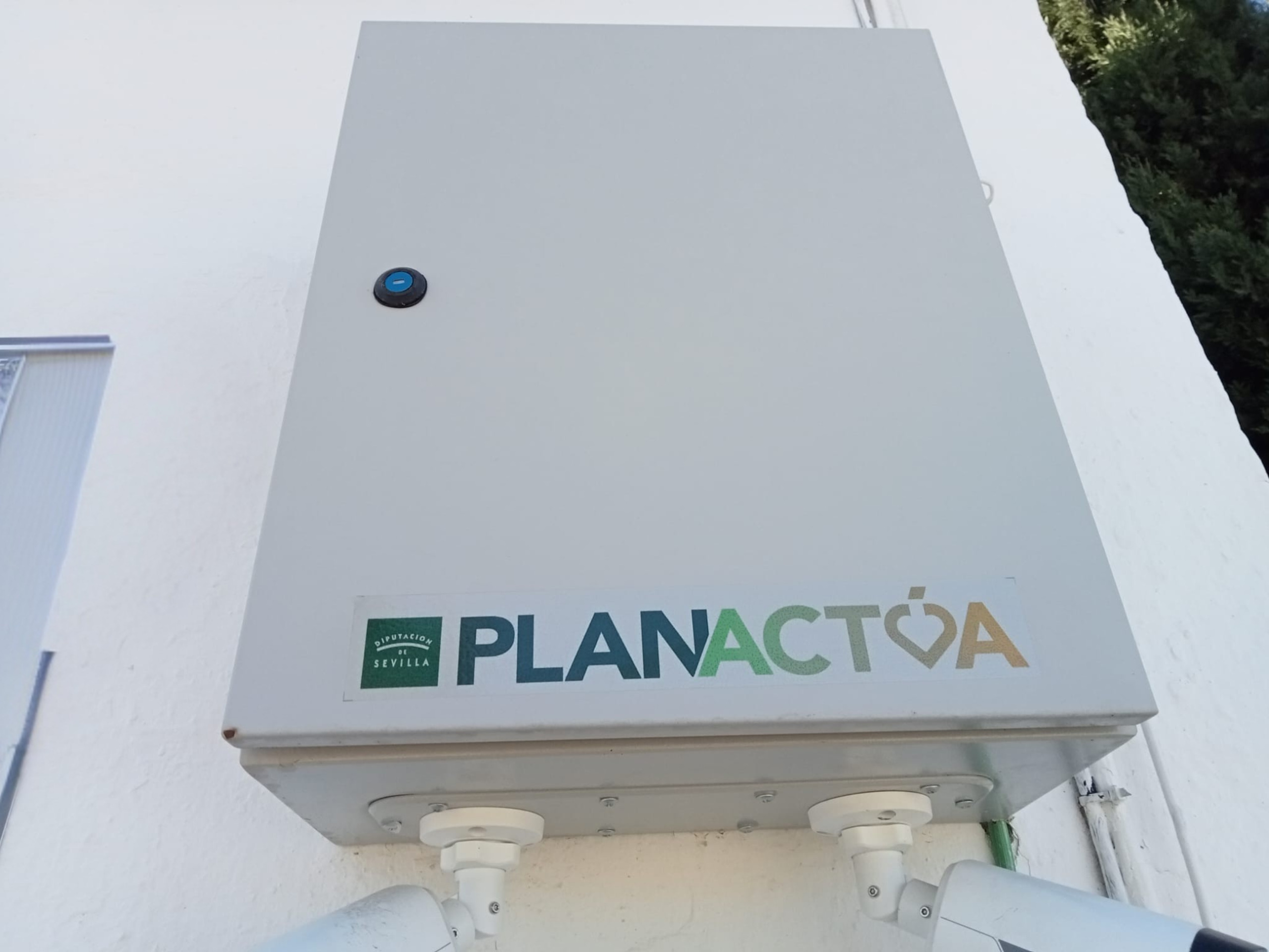 WhatsApp Image 2025-02-06 at 12.59.06