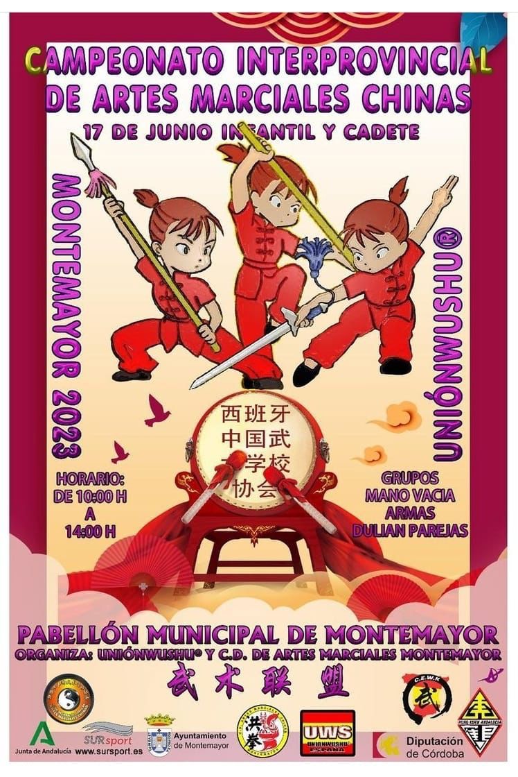 campeonato interprovincial de artes marciales chinas