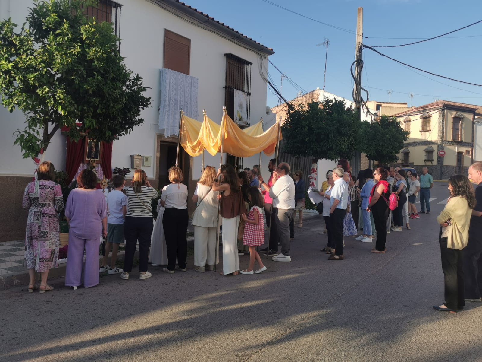 WhatsApp Image 2024-06-03 at 21.12.50 (3)