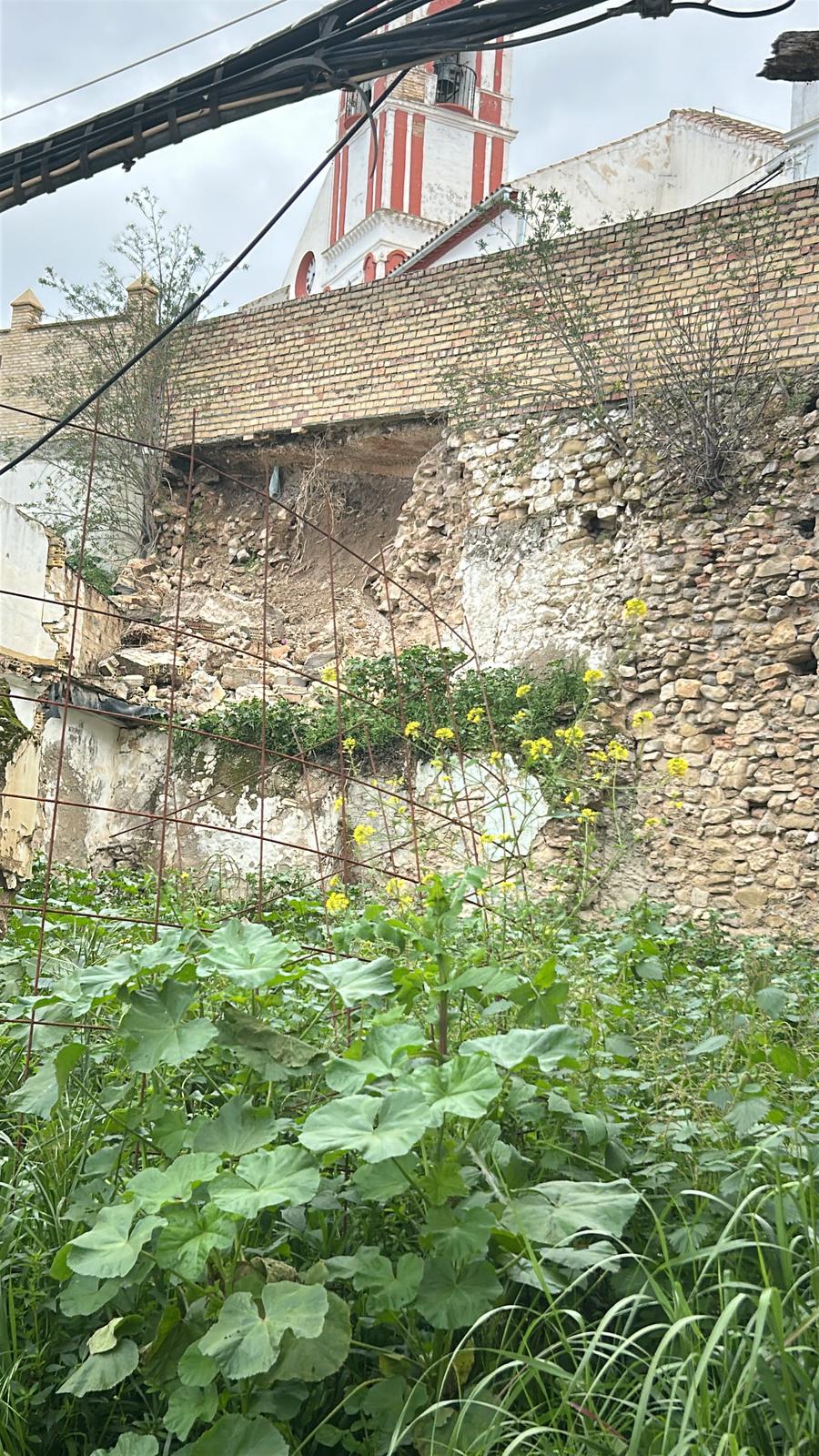 WhatsApp Image 2025-03-12 at 12.38.02