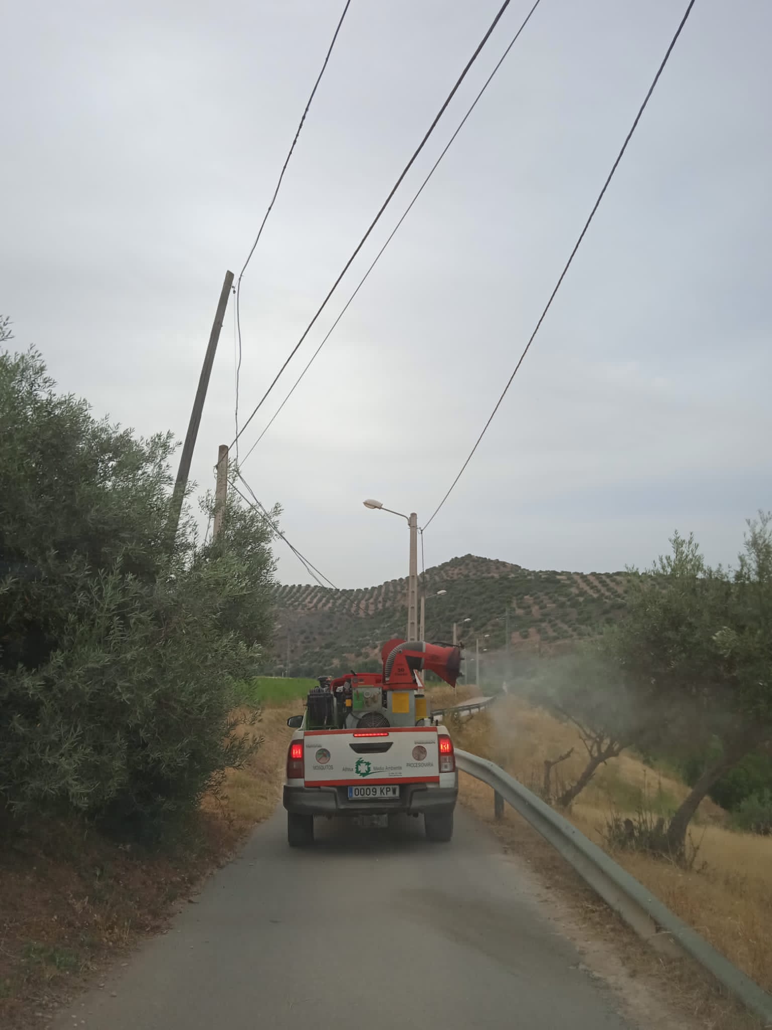 WhatsApp Image 2022-06-15 at 9.26.29 AM (3)