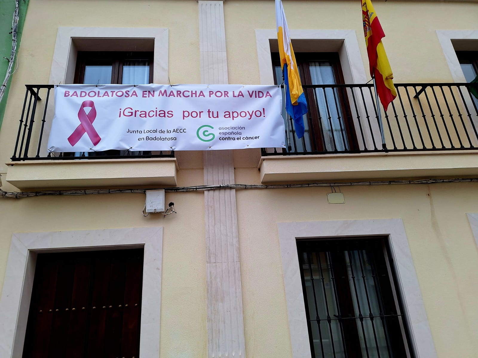 WhatsApp Image 2024-11-13 at 16.25.28