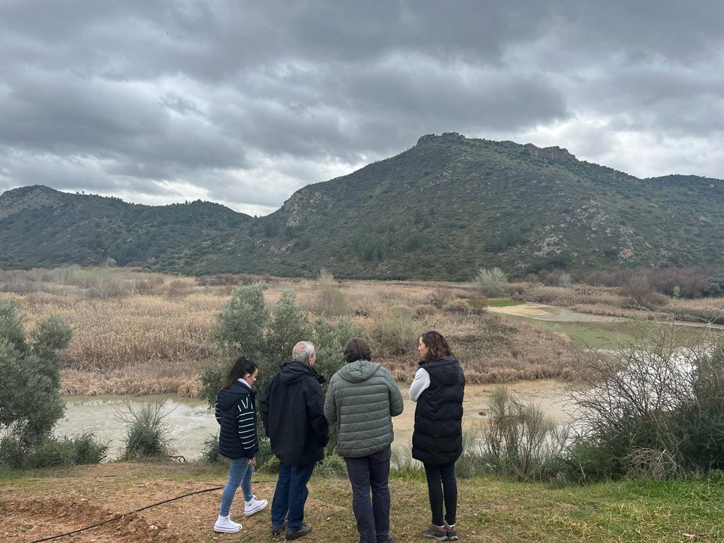 WhatsApp Image 2023-03-08 at 13.31.00