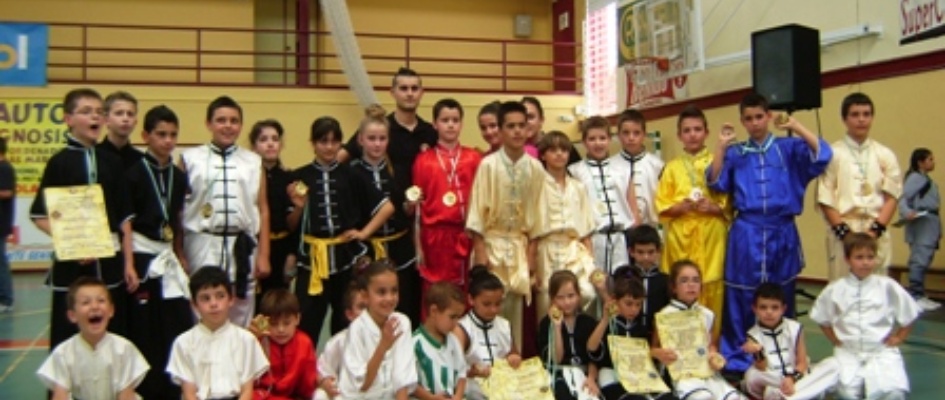 c-andalucia-wushu.JPG