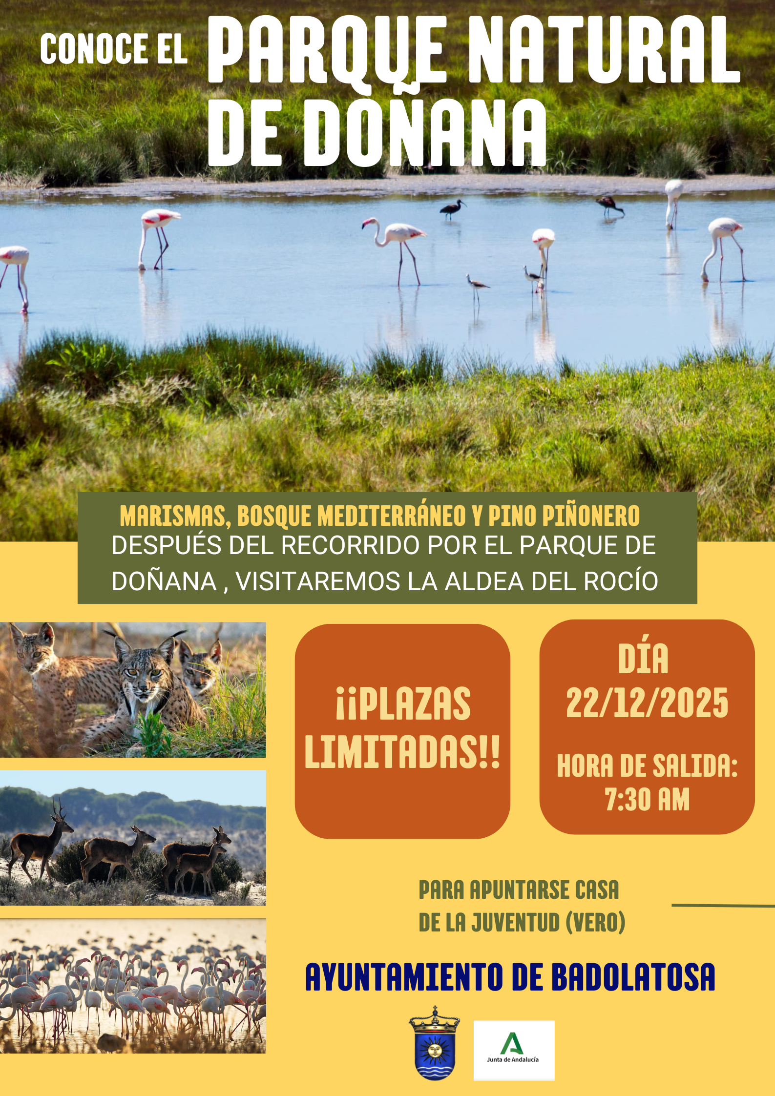 10.Cartel viaje de Doñana 22 DIC