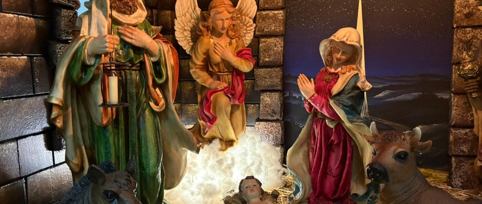 304c8597-409a-497c-ab39-486d542a37dd