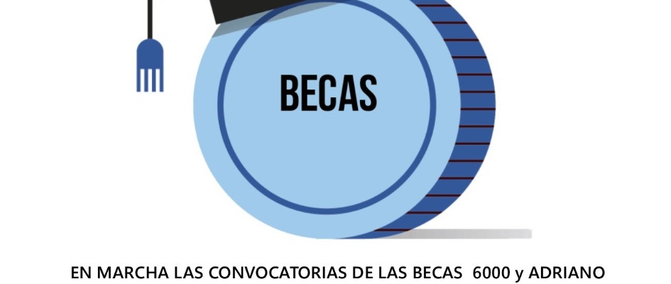 BADAYUDAS6000-ADRIANO
