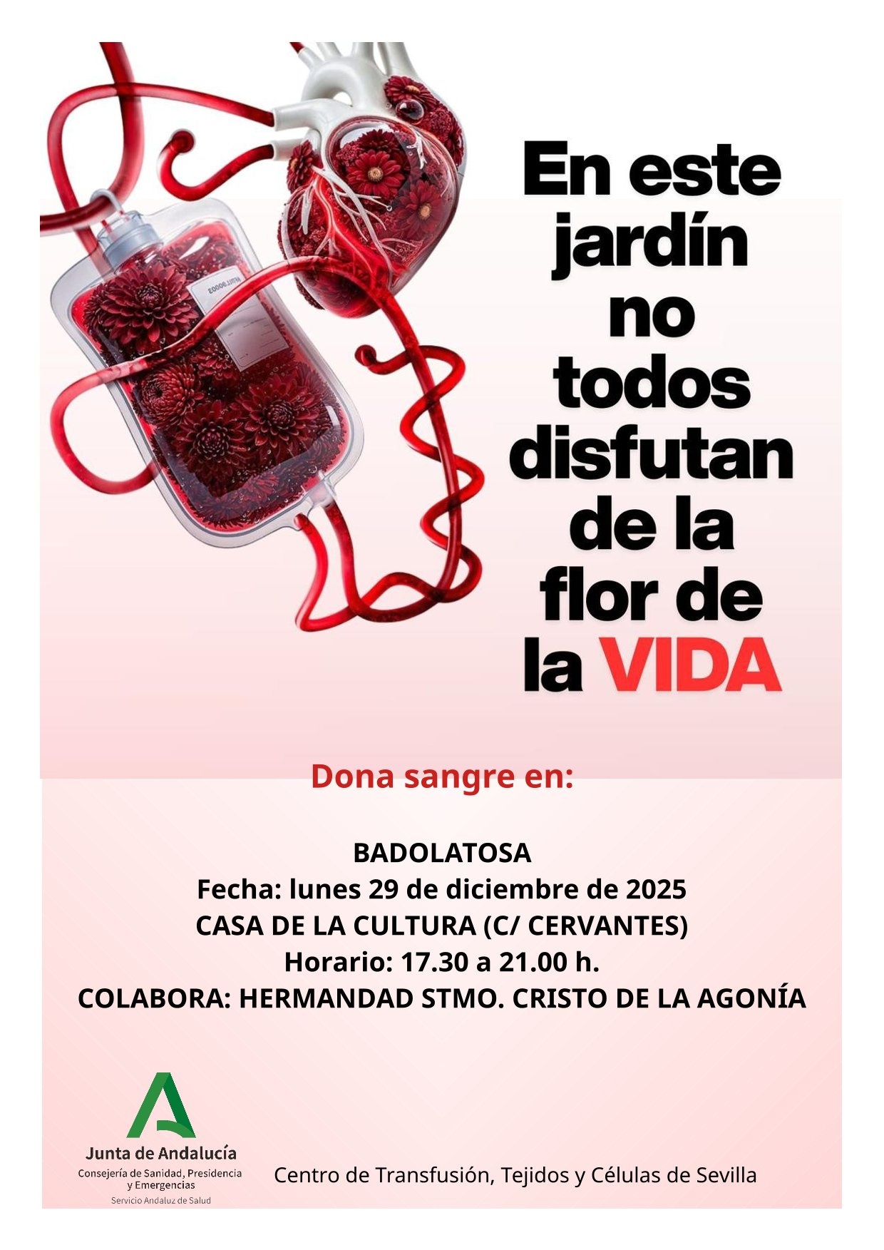 BADOLATOSA 29 dic donacion-1