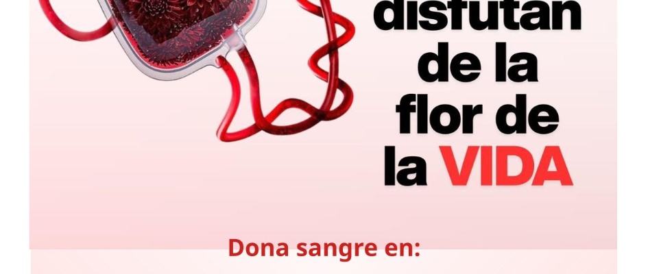 BADOLATOSA 29 dic donacion-1