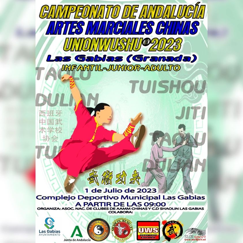 CAMPEONATO ANDALUCIA UNIONWUSHU 1 JULIO