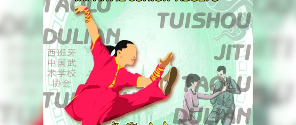 CAMPEONATO ANDALUCIA UNIONWUSHU 1 JULIO