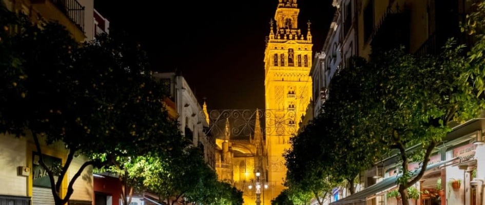 1c986a0a-6056-442a-bb6c-9577c1579463