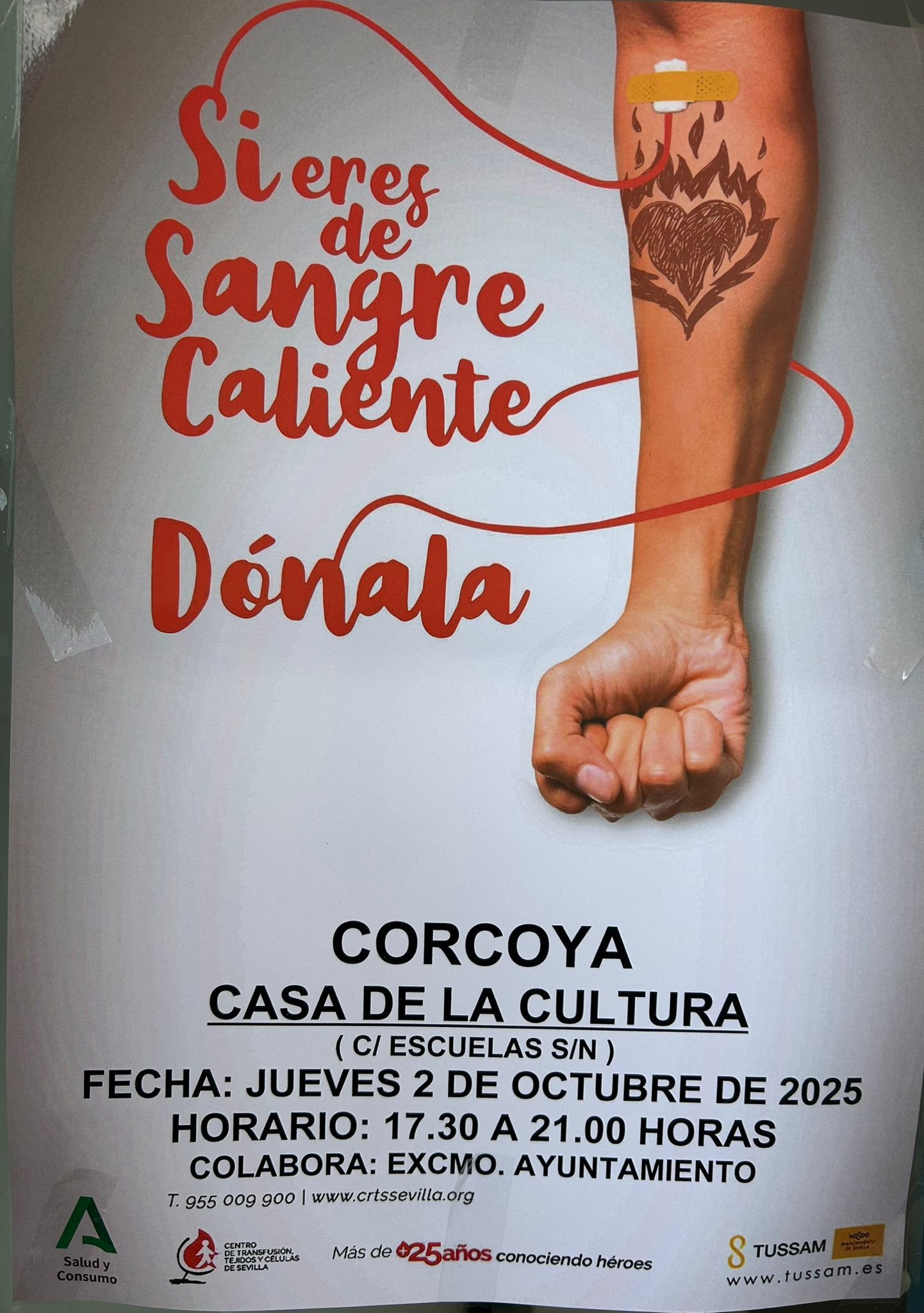 corcoya sangre 2 octubre