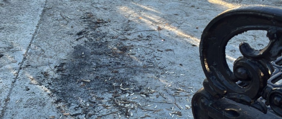 492695582_2124909147971160_22511955434570170_n