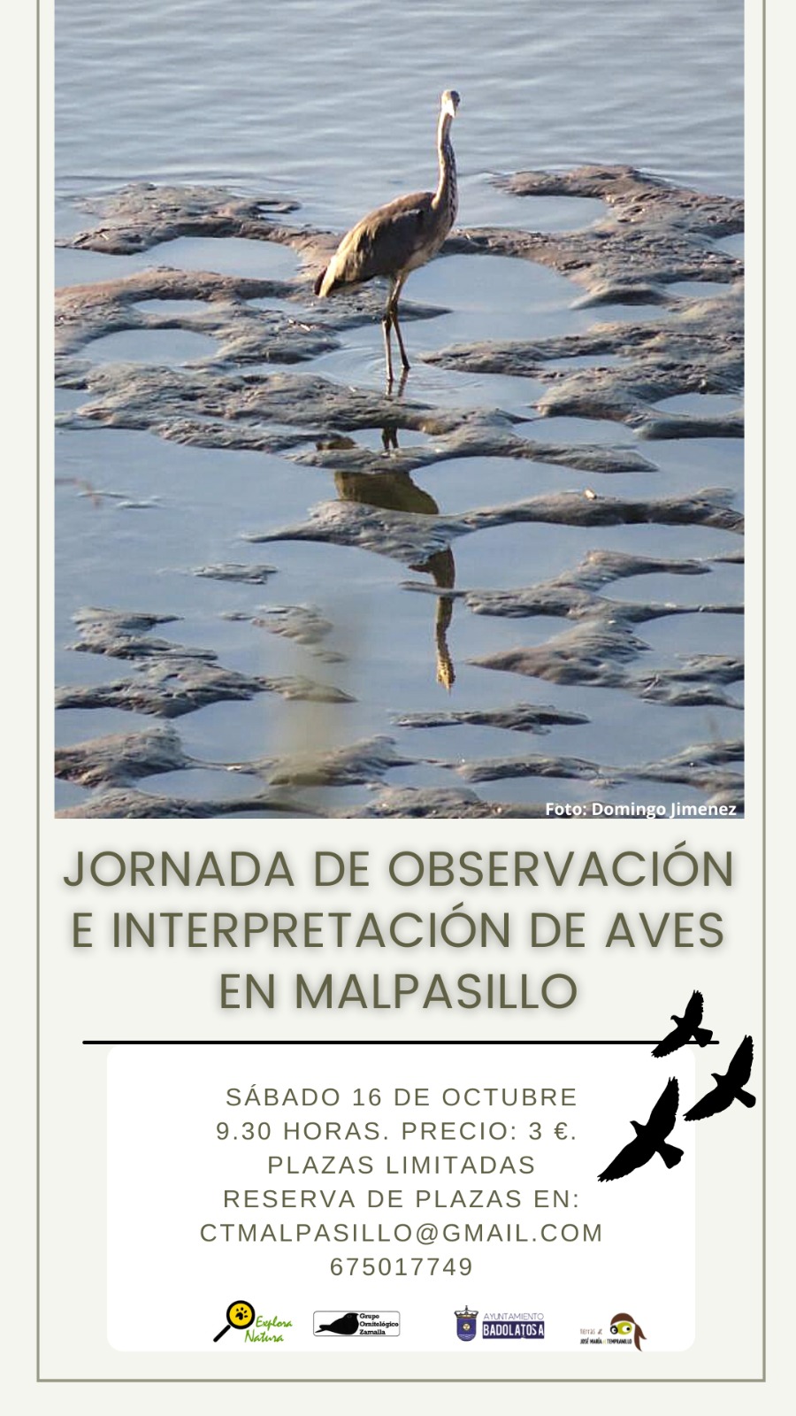 jornada de observacion aves en malpasillo