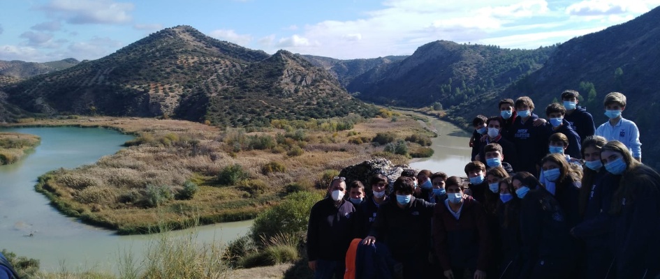 34e09573-8bae-416c-bd32-bd3a05b1e346