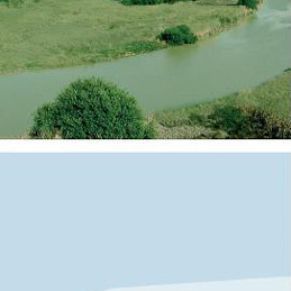 nat_educmedioamb_28_riogenil