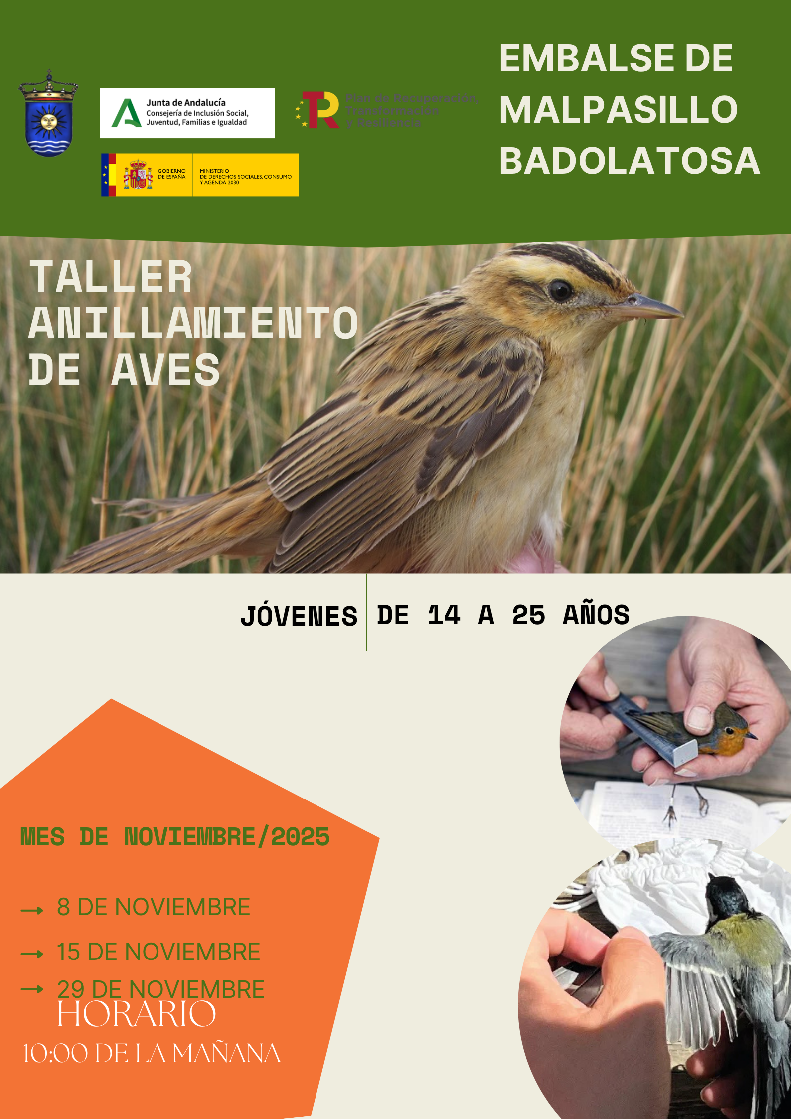 ACTIVIDAD ANILLAMIENTO DE AVES