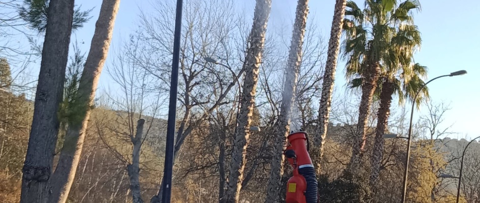 422692549_1811189759343102_5010125064489835754_n