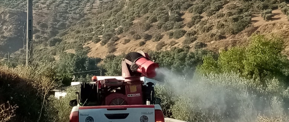 3fc90525-a75f-466d-a458-e63cfa4d0b74