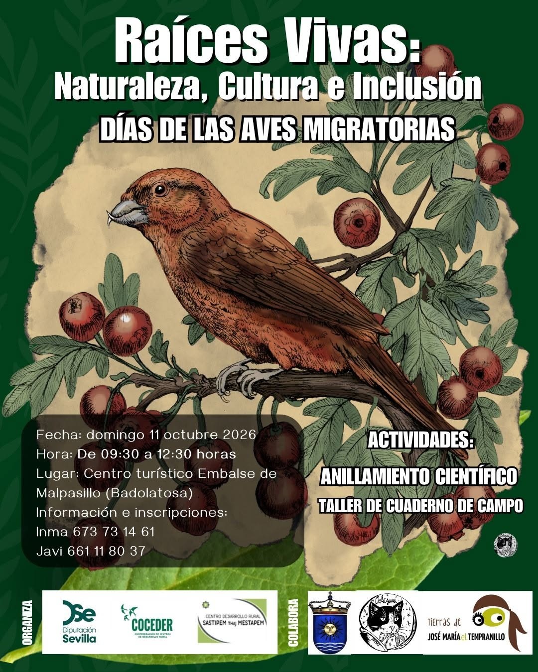JORNADA AVES 11 OCTUBRE 2026