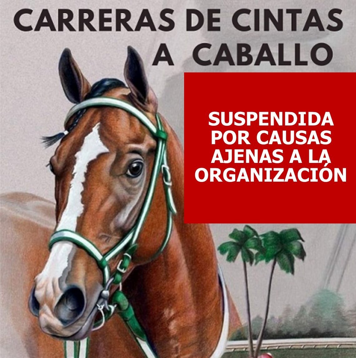 SUSPENDIDA-CINTASCAB