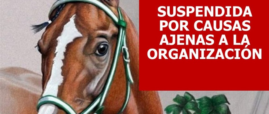 SUSPENDIDA-CINTASCAB