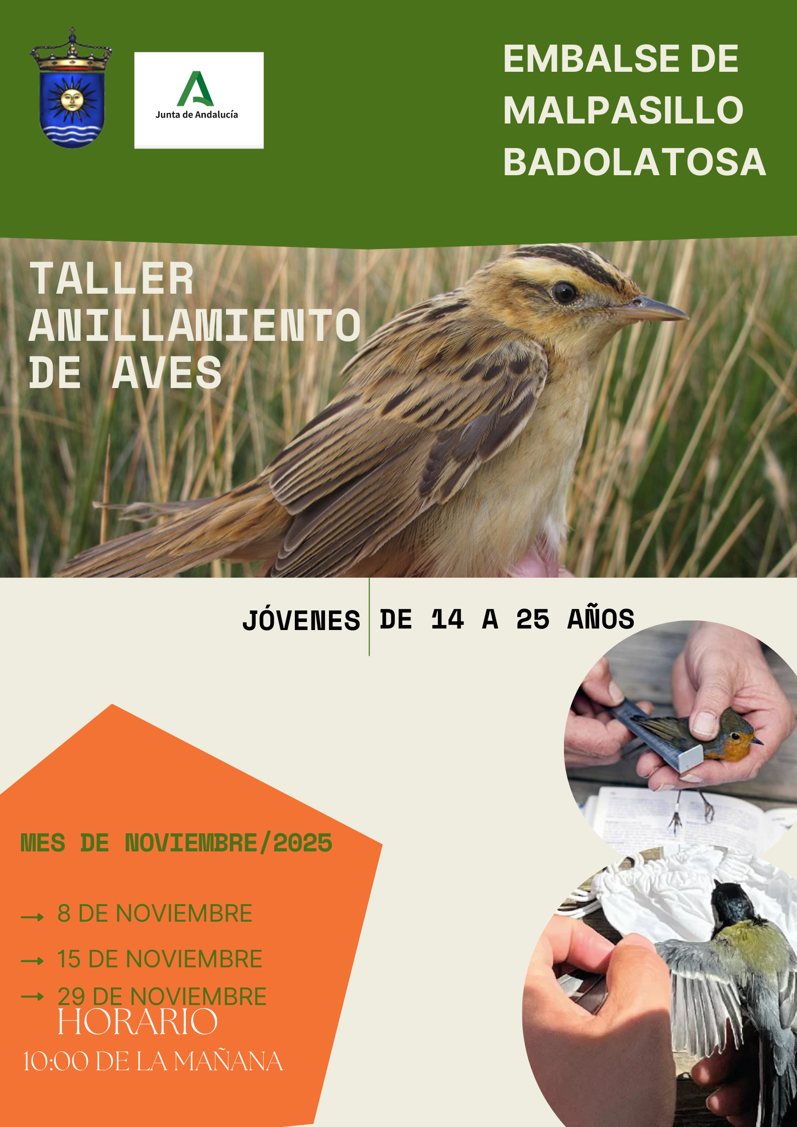 TALLER ANILLAMIENTO DE AVES NOV
