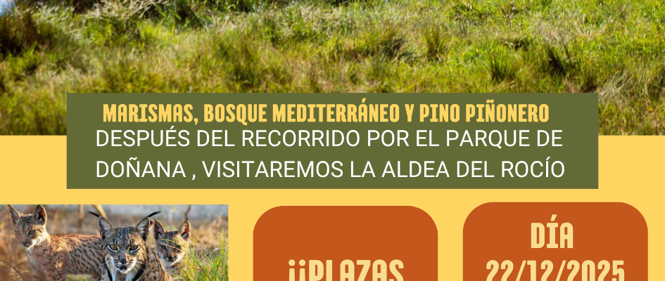 VIAJE A DOÑANA