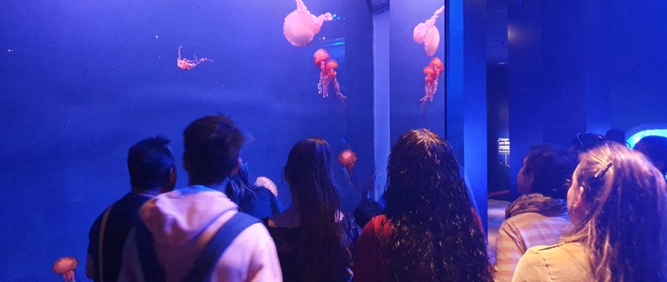 d1968aa4-7cfe-49da-bb5f-570a3e4b2824