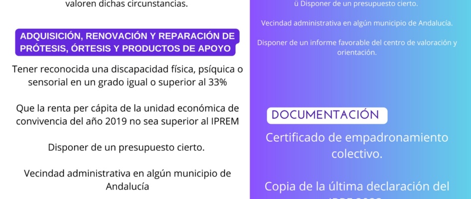 ayudas individuales  a la discapacidad-1