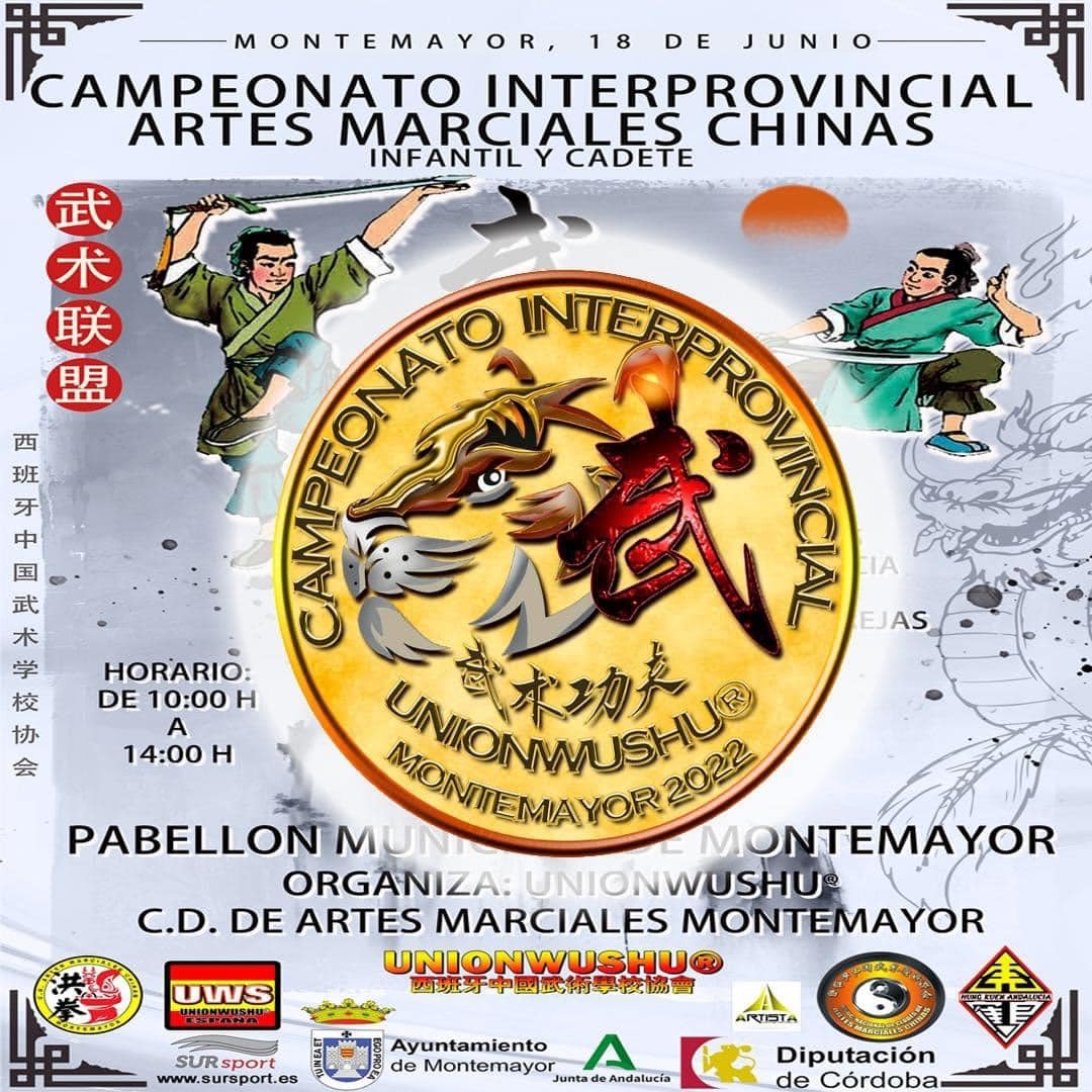 campeonato interprovincial artes marciales chinas