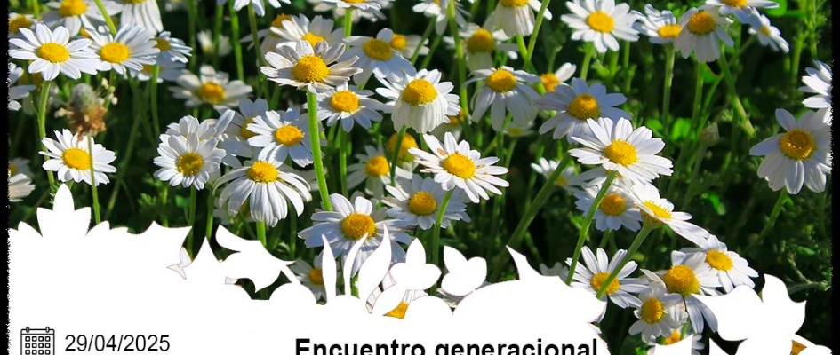 encuentro etnobotanico