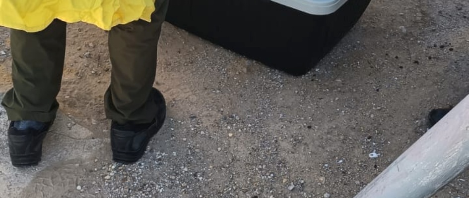 382108377_1729527274176018_3147801545299391726_n