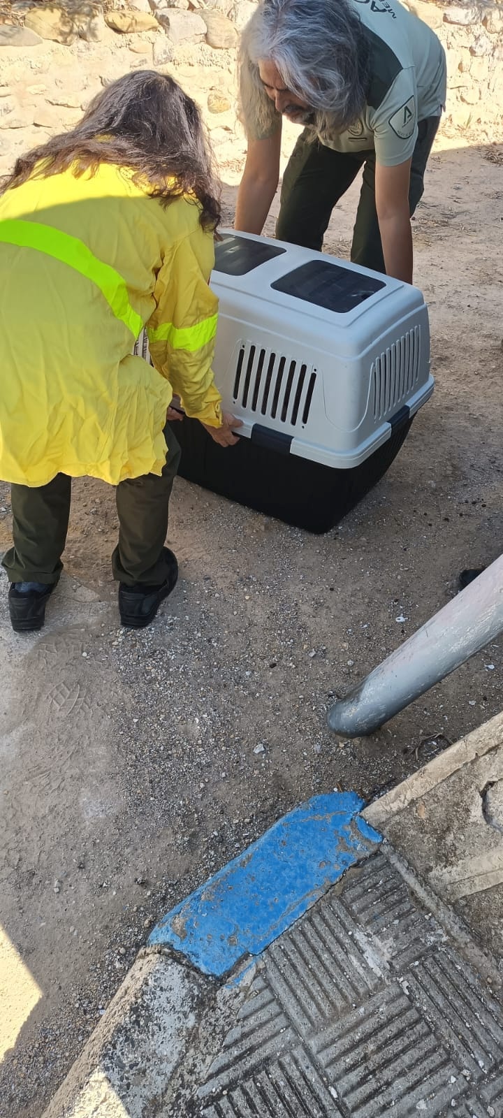 382108377_1729527274176018_3147801545299391726_n