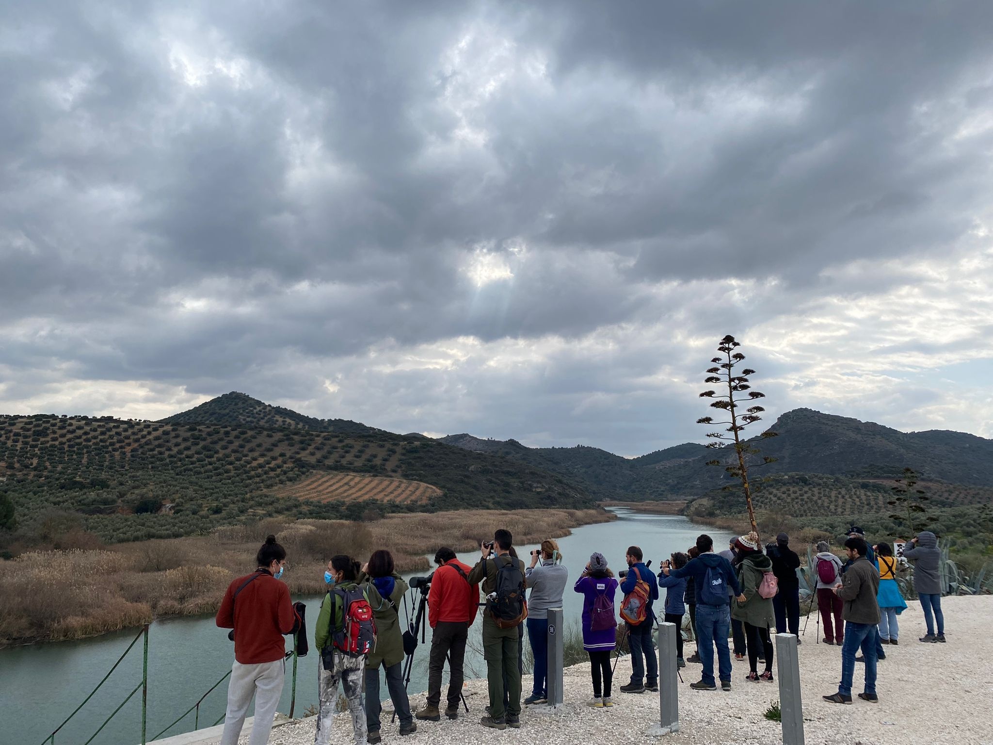 e32e42d5-d956-44fa-a71a-463c98302959