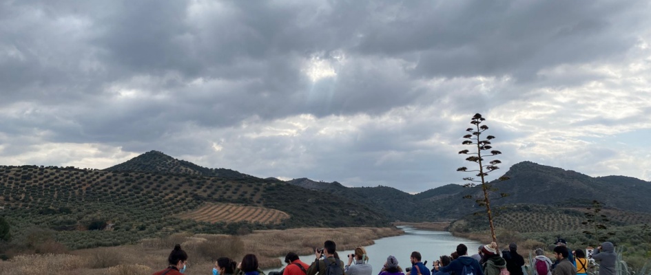 e32e42d5-d956-44fa-a71a-463c98302959